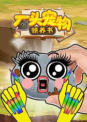 石头宠物领养书