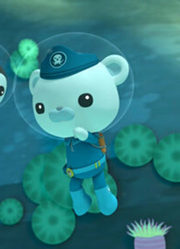 海底小纵队高清视频剪辑