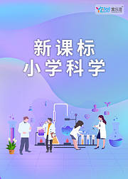 寓乐湾新课标小学科学实验课