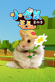 小仓鼠毛毛第4季
