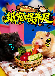 纸宠喂养屋