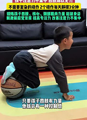 小马一家快乐互动.的2025年合集