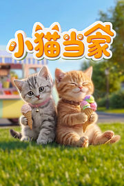 小猫当家