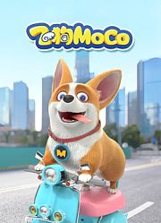 飞狗MOCO第1季