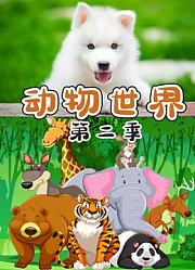 动物世界第2季