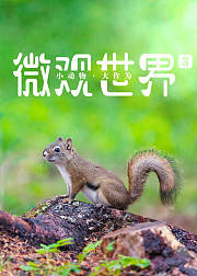 微观世界3：小动物·大作为