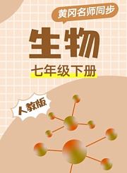 黄冈人教版地理七年级上册