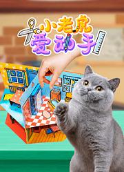 小老虎爱动手