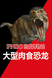 PNSO恐龙博物馆-大型肉食恐龙