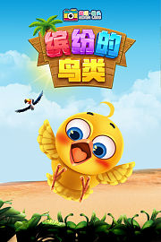 超级镜头：缤纷的鸟类