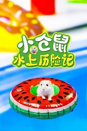 小仓鼠水上历险记