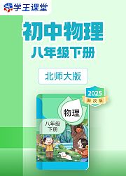 2025新改版北师大版初中物理八年级下册