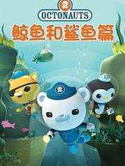 海底小纵队之鲸鱼和鲨鱼篇