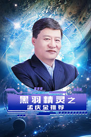 黑羽精灵之孟庆金推荐
