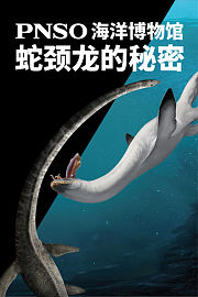 PNSO海洋博物馆蛇颈龙的秘密