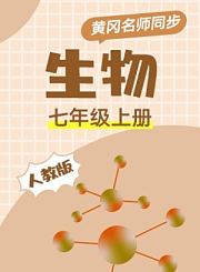 黄冈人教版政治七年级上册