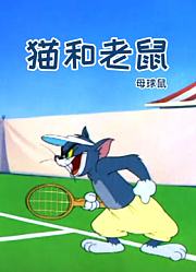 猫和老鼠睡猫