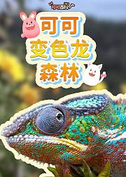 可可百科365变色龙森林