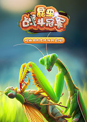 昆虫战斗冠军