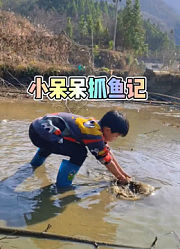 奥小特的2024年合集