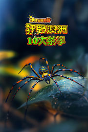 球球有料科普：狂野澳洲10大杀手