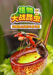 植物大战昆虫：动植物之间的斗智斗勇