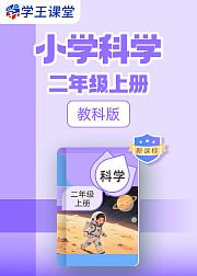 新课标教科版小学科学二年级上册