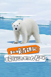 秘境奇遇记：稀有动物大发现