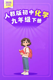 2025新改版人教版初中化学九年级下册