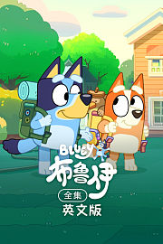 布鲁伊全集英文版