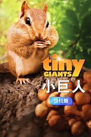 小巨人