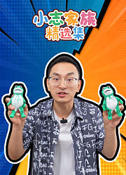 小志家族精选集