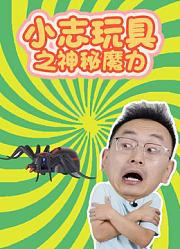 小志玩具之神秘魔力