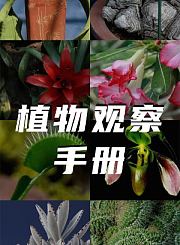 高途星际探险-年兽篇