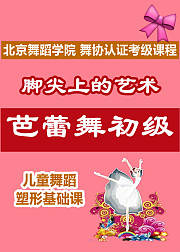 脚尖上的艺术芭蕾舞初级
