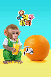 小猴子萌可