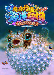 米拉和星仔：奇奇怪怪的海洋动物！