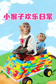 小猴子欢乐日常