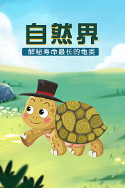 自然界：解秘寿命最长的龟类
