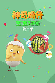 神奇鸡仔宝宝观察第2季