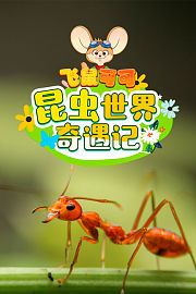 飞鼠可可昆虫世界奇遇记