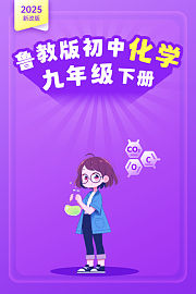 2025新改版鲁教版初中化学九年级下册