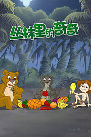 丛林里的奇奇