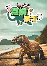 可可百科365：巨蜥来了