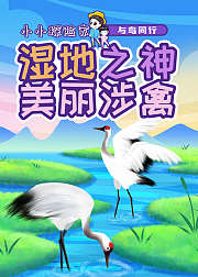 与鸟同行：湿地之神美丽涉禽