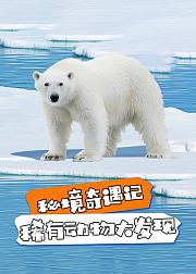 秘境奇遇记稀有动物大发现