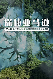小小探险家：雨林的惊奇冒险