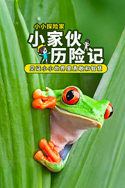 小家伙历险记：见证小小世界里勇敢和智慧