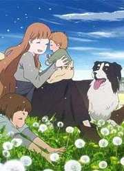 《朝花夕誓》精彩片段
