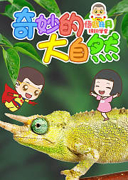 奇妙的大自然悟熙玩具缤纷学堂